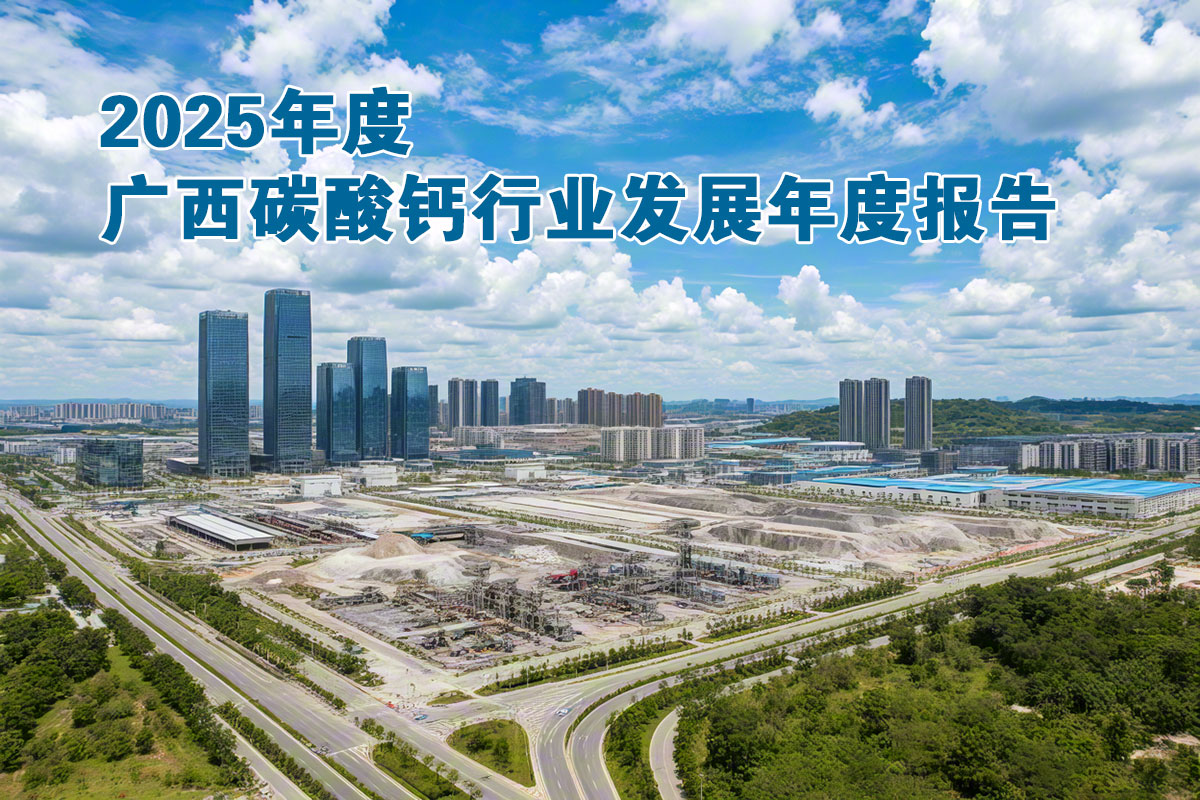 2025年度廣西碳酸鈣行業(yè)發(fā)展年度報告